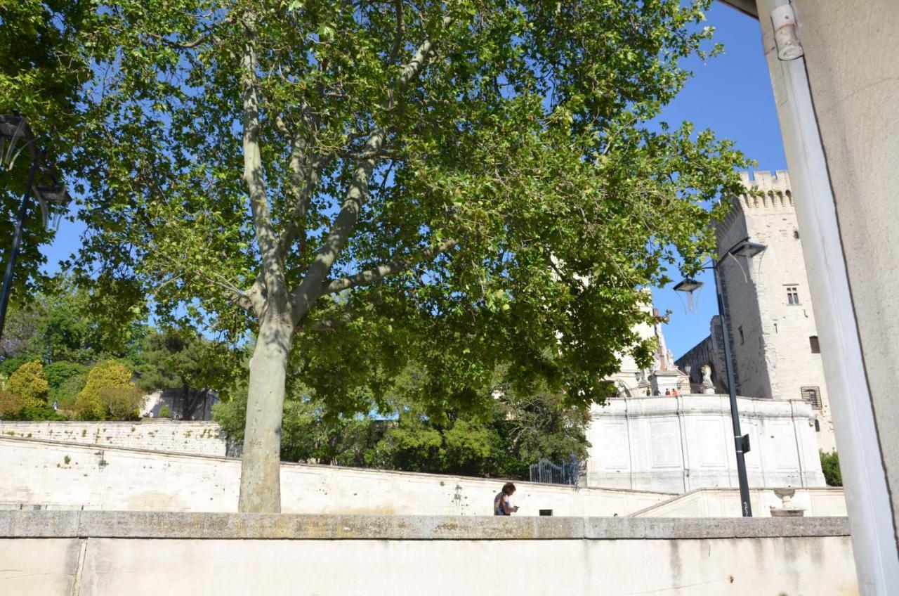 Face Au Palais Des Papes Lägenhet Avignon Exteriör bild